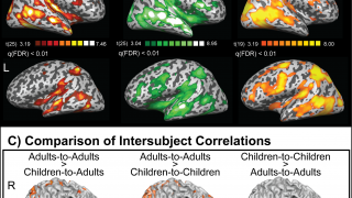 Sesame Street and brain activity in children