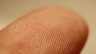 Getting the best grip: how ridged surfaces affect finger pad tribology