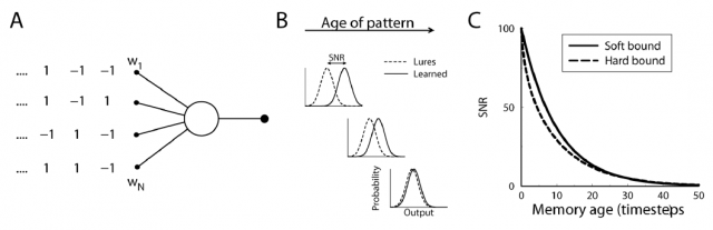 Figure 2. Effect of soft-bounded synapses on memory capacity. |Credit: van Rossum et al., 2012