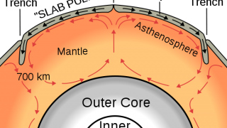 Mantle convective flow determines the depth of the ocean