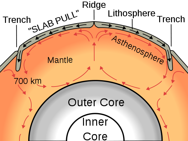 Figure 2. Plate formation at the oceanic ridge and destruction at the subduction trenches; mantle convective flow featuring the typical pattern of convection cells. | Credit: Wikimedia Commons