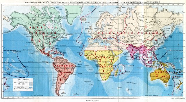 Delimitation of the biogeographic regions of the world according to Wallace’s work “The Geographical Distribution of Animals” (1876) | Credit:: Wikimedia Commons