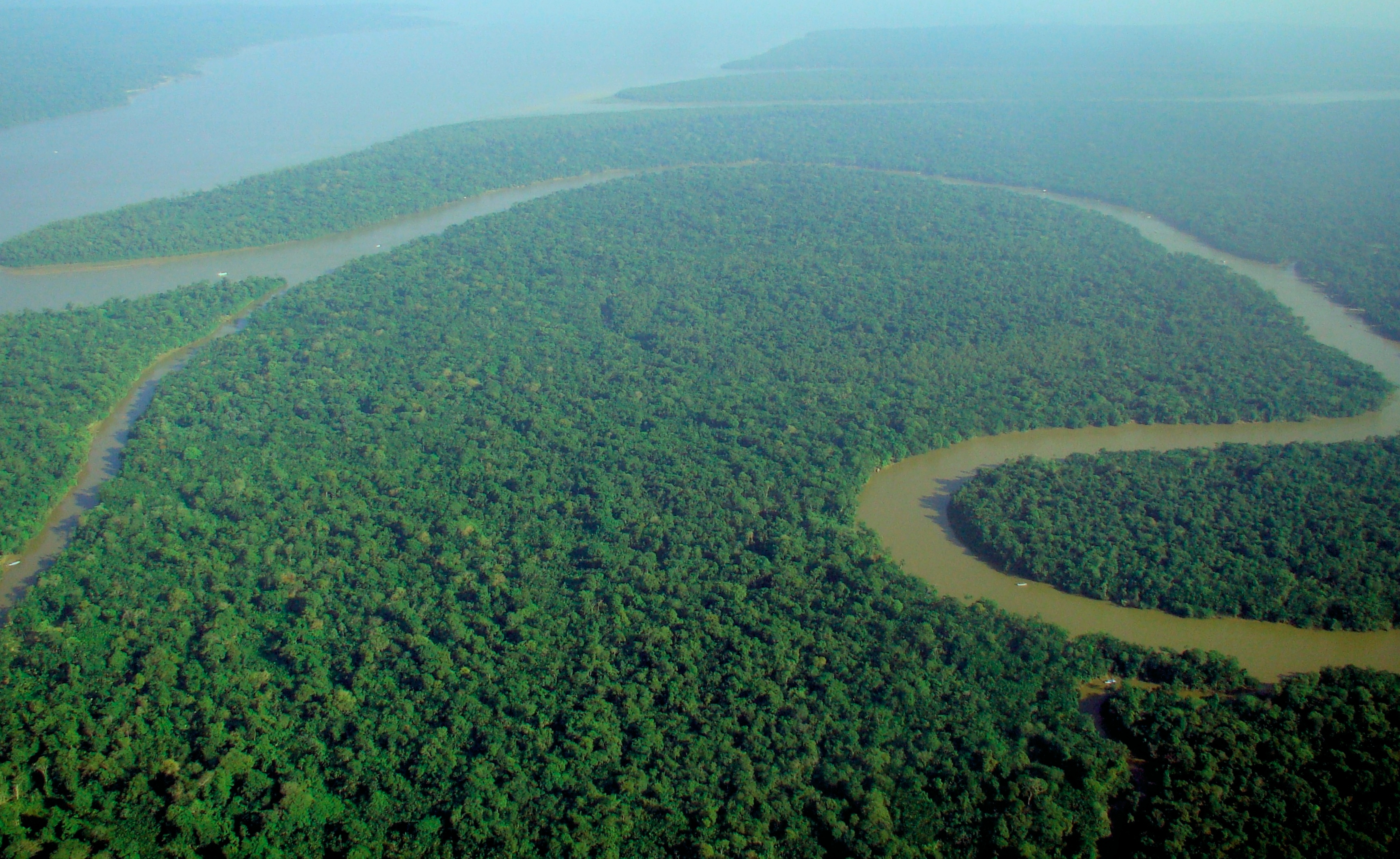 Aerial view of the Amazon Rainforest | Credit: Wikimedia Commons