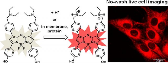 Figure 3. | Credit: Zhang et al (2013)