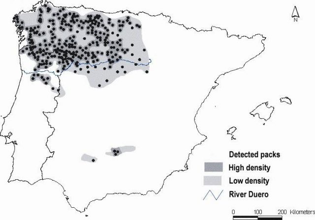 Figure 2. Detected wolf pack in Spain and Portugal. The figure shows the river Duero. | Credit: Álvares, F. et al. (2005) Wolf status and conservation in the Iberian Peninsula. Panel. Frontiers of Wolf Recovery. IUCN. 1-4 October 2005, Colorado Springs, Colorado.
