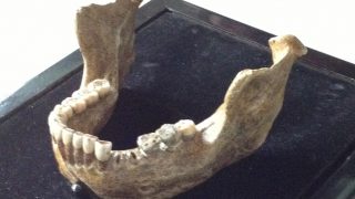 Raw Science: The 600,000 year-old human who lost 2 teeth in the II World War.