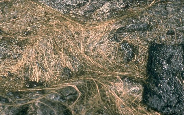 Figure1. Hundreds of strands of Pele's hair intertwined on the surface of a pahoehoe flow at Kilauea Volcano, Hawaii (27 March 1984). | Credit: Photograph by D.W. Peterson / Wikimedia Commons