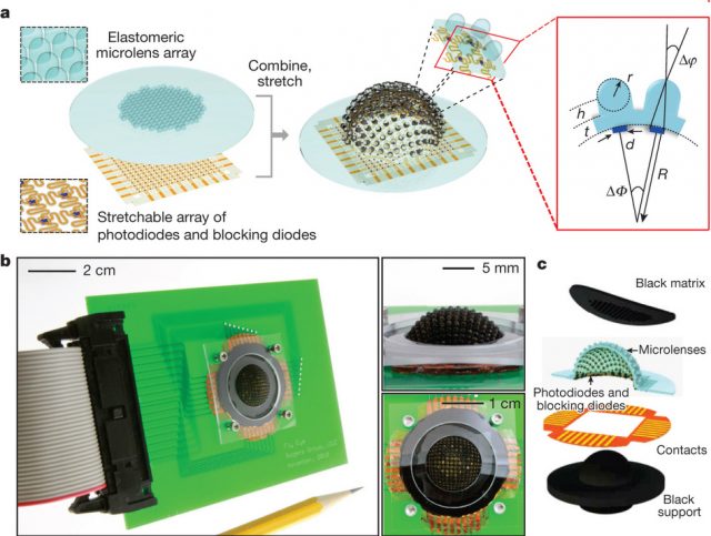 Figure 2. a) The lenses and photodiodes are built in an elastic base that is then stretched to form a semi-sphere with a radius of 6,96 mm. b) Aspect of a completed artificial eye. b) Exploded-view illustration of the components. | Credit: Song et al (2013)