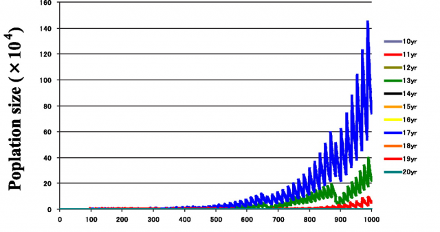 Figure 4. Simulation of temporal dynamics for cicadas with 10y to 20y cycles under a high Allee effect. All but 13y, 17y and 19y cycles are extinct at an early stage. Credit: Tanaka, Y., Yoshimura, J., Simon, C., Cooley, J. R. & Tainaka, K. 2009. Allee effect in the selection for prime-numbered cycles in periodical cicadas. Proc. Natl. Acad. Sci.106, 8975–8979.