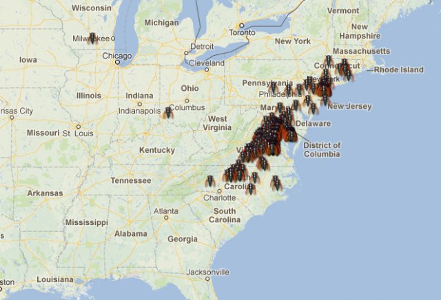 Figure 7. Sightings of some Brood II cicadas in 2013 submitted to CicadaMania webpage. | Credit: Cicada Mania