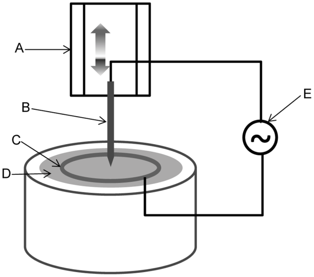 Figure 3. Schematics of dielectrophoresis fabrication of the probe. (A) Motor for vertical pulling of the tungsten wire out of the solution. (B) Electrochemically sharpened tungsten tip. (C) Submerged metal ring acting as a counter electrode. (D) CNT dispersed solution. (E) High-frequency AC power source. | Credit: Yoon et al. (2013).