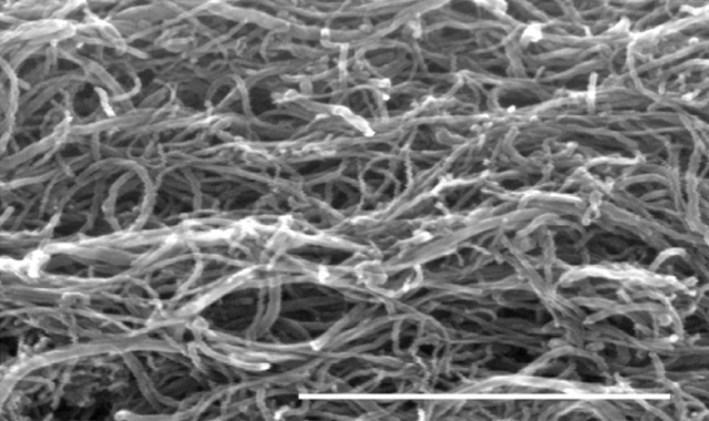 Figure 2. CNTs in the probe showing a self-entangled morphology. | Credit: Yoon et al. (2013).