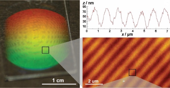 Figure 3. Holographic MIP film (left) and AFM image of the surface modulation of the MIP film (right). | Credit: Fuchs et al (2013)