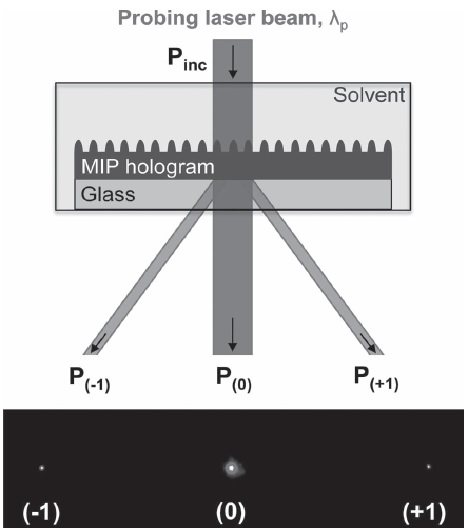 Figure 4. Zero-order and first-order diffracted beams recorded when a probe laser passes through a holographic MIP film. | Credit: Fuchs et al (2013)