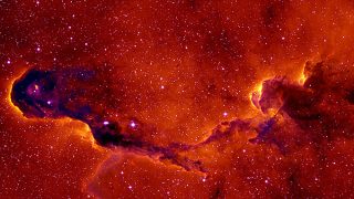 Insights into a star forming Universe
