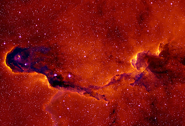 Figure 2. The elephant trunk nebula is a cloud of gas and dust located in the emission nebula IC1396 where intense star formation is taking place. New born stars ionize their surrounding but do they prevent or trigger further star formation? | Credit: data from the INT Photometric H-Alpha Survey (IPHAS), image credit: Nick Wright (University of Hertfordshire, SAO), Geert Barentsen (University of Hertfordshire, Armagh Observatory).