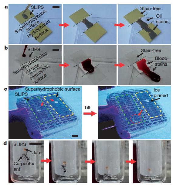 Figure 6. Repellency of complex fluids, ice and insects by SLIPS. All scale bars represent 10mm. | Credit: Wong et al (2011)