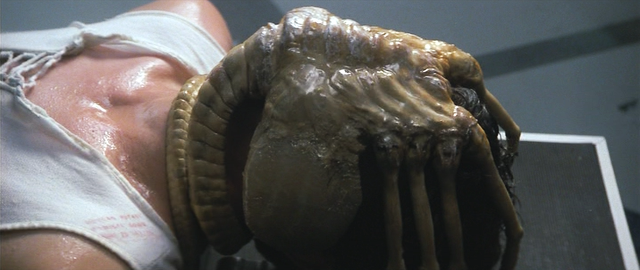 Figure 1. The parasitic life form depicted in the film Alien may not be a specially subtle one; but surely the genetic regulation that controls the incredible transformations between the facehugger form (in the image) and the adult xenomorph, would not be very different to the one that takes place in human parasites like the one causing malaria (© 20th Century Fox and from the film Alien)