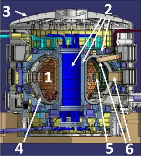 Cross section of the latest design for the ITER machine. | Credit : Modified from Ioki, K., A. Bayon, C. H. Choi, E. Daly, S. Dani, J. Davis, B. Giraud et al. "Progress of ITER vacuum vessel." Fusion Engineering and Design (2013)