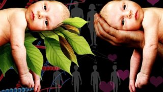 Economics and the debate on nature vs. nurture