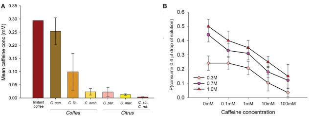 Figure 2. A) Mean caffeine concentration in the nectar of three species of Coffea and three species of Citrus range from 0.003 to 0.253 mM, the last figure being comparable to the typical concentration in a cup of instant coffee. B) Bees reject a sweet solution containing high concentrations of caffeine but will usually accept nectar with concentrations similar to those found naturally in Citrus and Coffea nectar.