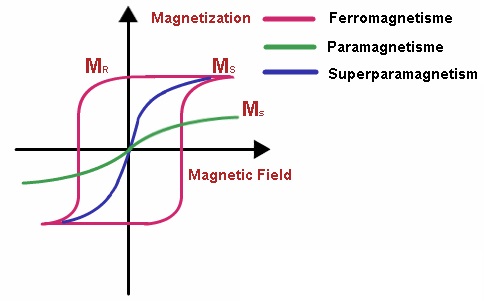 Figure 1. Under the influence of a magnetic field paramagnetic materials are magnetized, but when the magnetic field is removed this magnetization goes to zero. On the contrary, ferromagnetic materials present a remanent magnetization (MR) in the absence of the magnetic field. Superparamagnetic materials share properties of ferromagnetism and paramagnetism. | Credit: physics.tutorvista.com