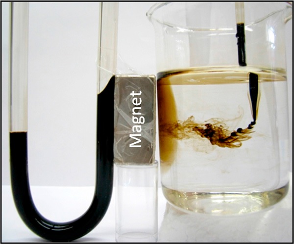 Figure 5. A water miscible ferrofluid attracted by a magnet (left). In an aqueous system it acts as a contaminants' entrapment (right). | Credit: K. Mandel et al (2012)