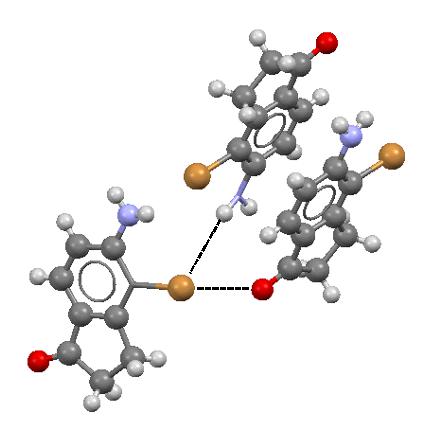 Figure 4. The fragment of the crystal structure of 5-Amino-4-bromo-2,3-dihydro-1H-inden-1-one (Br, O, N, C and H atoms are designated by brown, red, blue, grey and bright grey colors, respectively). Broken lines correspond to Br…O and Br…H contacts (halogen and hydrogen bonds, respectively). | Credit: Cambridge Structural Database (CSD) Allen, F.H. Acta Cryst. 2002, B58, 380-388.
