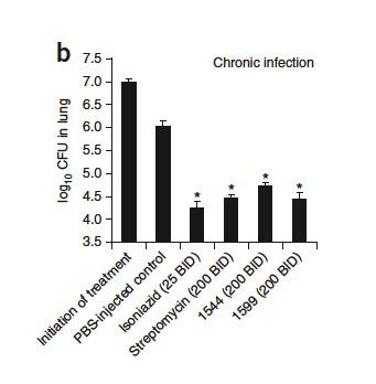 Fogure2. In vivo efficacy: bacterial burden (log10 CFU) in the lungs of mice chronically infected with M. tuberculosis treated with spectinamides (1544 and 1599), streptomycin and isoniazid. | Credit: Lee et al (2014)