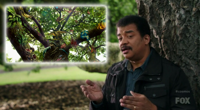 Figure 1. Neil DeGrasse Tyson talks about evolution besides the representation of the tree of life chosen for the new version of the COSMOS series (composed using images from FOX broadcasting)