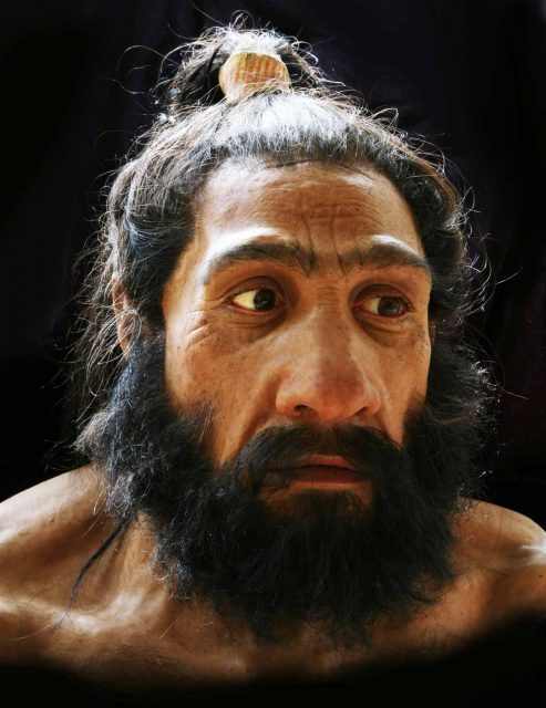 A hyper-realistic bust of Homo neanderthalensis by artist John Gurche in the David H. Koch Hall of Human Origins (Smithsonian Museum)
