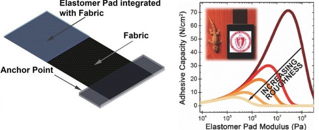 Figure 3. A schematic of the gecko-like new adhesive consisting of an elastomer pad integrated with a stiff fabric, mimicking the system formed by the tendon system and the skin nano-structure of gecko’s feet (left). As the surface roughness increases, the maximum adhesive capacity is reached for lower elastomer modulus (right). | Credit: King et al (2014).