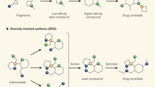 Lead-oriented synthesis: a new concept to aid drug-discovery process