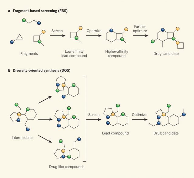 Figure 2. a. Fragment-based screening: Small and structurally diverse molecules (circles represent functional groups) are screened for a biological target, and they are combined and modified to generate drug-like compounds. b. Diversity-oriented synthesis: Large collections of structurally diverse and complex molecules are made using a short number of reactions. The resulting compounds are optimized to produce the drug-like compounds. | Credit: P. J. Hajduk,W. R. J. D. Galloway & D. R. Spring Nature, 2011, 470, 42–43. DOI: 10.1038/470042a