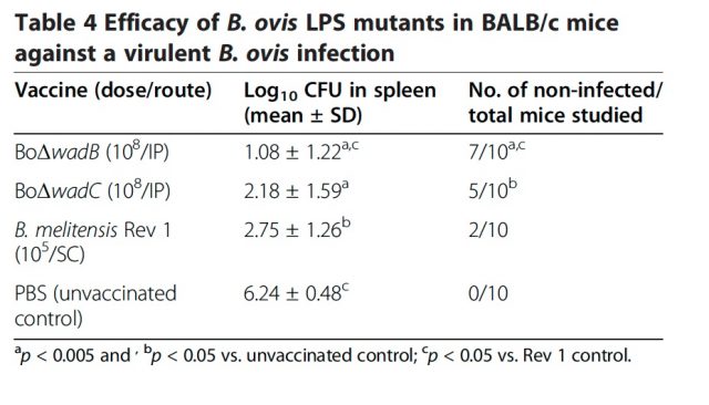 Efficacy of B. ovis core LPS mutants in BALB/c mice against a virulent B. ovis infection | Credit: Soler-Llorens et al (2014)