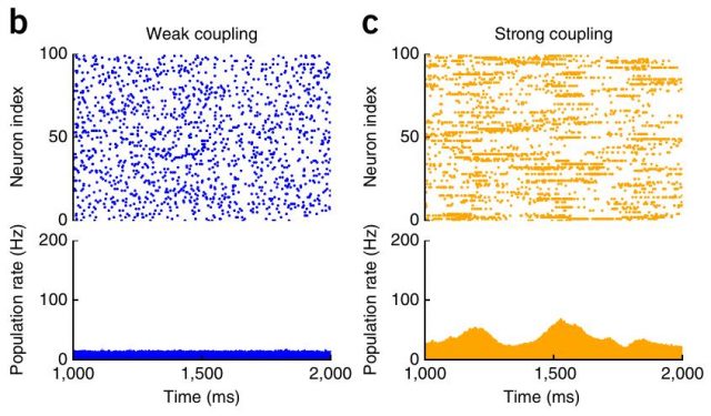 Figure 2. Two dynamical regimes are found in simulated neural networks. | Credit: Ostojic (2014)