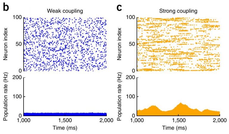 A new type of spontaneous activity in the brain identified - Mapping ...