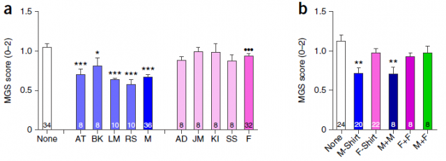 Figure 3. A) pain-induced facial grimacing (scored trait from 0 to 2) in response to four male experimenters (letters on the x axis indicate the initials of the experimenter) and its average (M) (in blue bars). The same for four female (Pink bars). B); pain-induced facial grimacing by one or two T-shirts recently worn by adult males (M-Shirt, M+M), females (F-Shirt, F+F) or one male and one female (M+F). | Credit: Sorge et al (2014) .