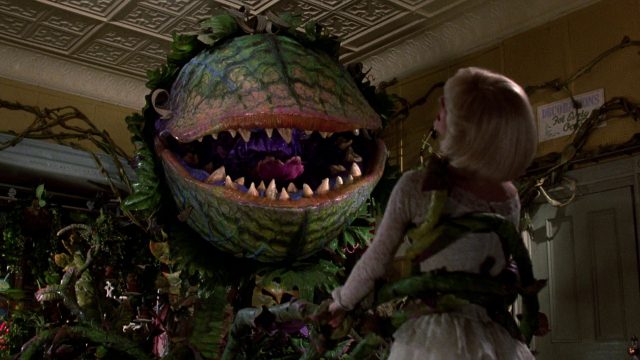 Figure 1. Frame of the film “Little shop of horrors” directed by Franz Oz in 1986.
