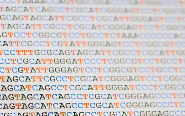 DNA sequence