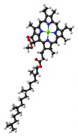 Firue 2. Structure of chlorophyll a