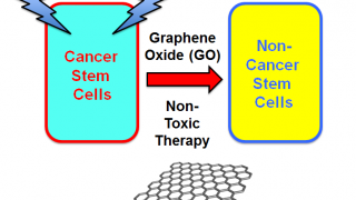 Graphene Oxide: Yet another “cancer cure of the week”?