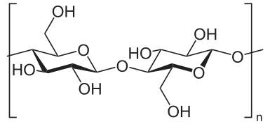 D-glucose units (two are shown) linked by β(1→4)-glycosidic bonds.