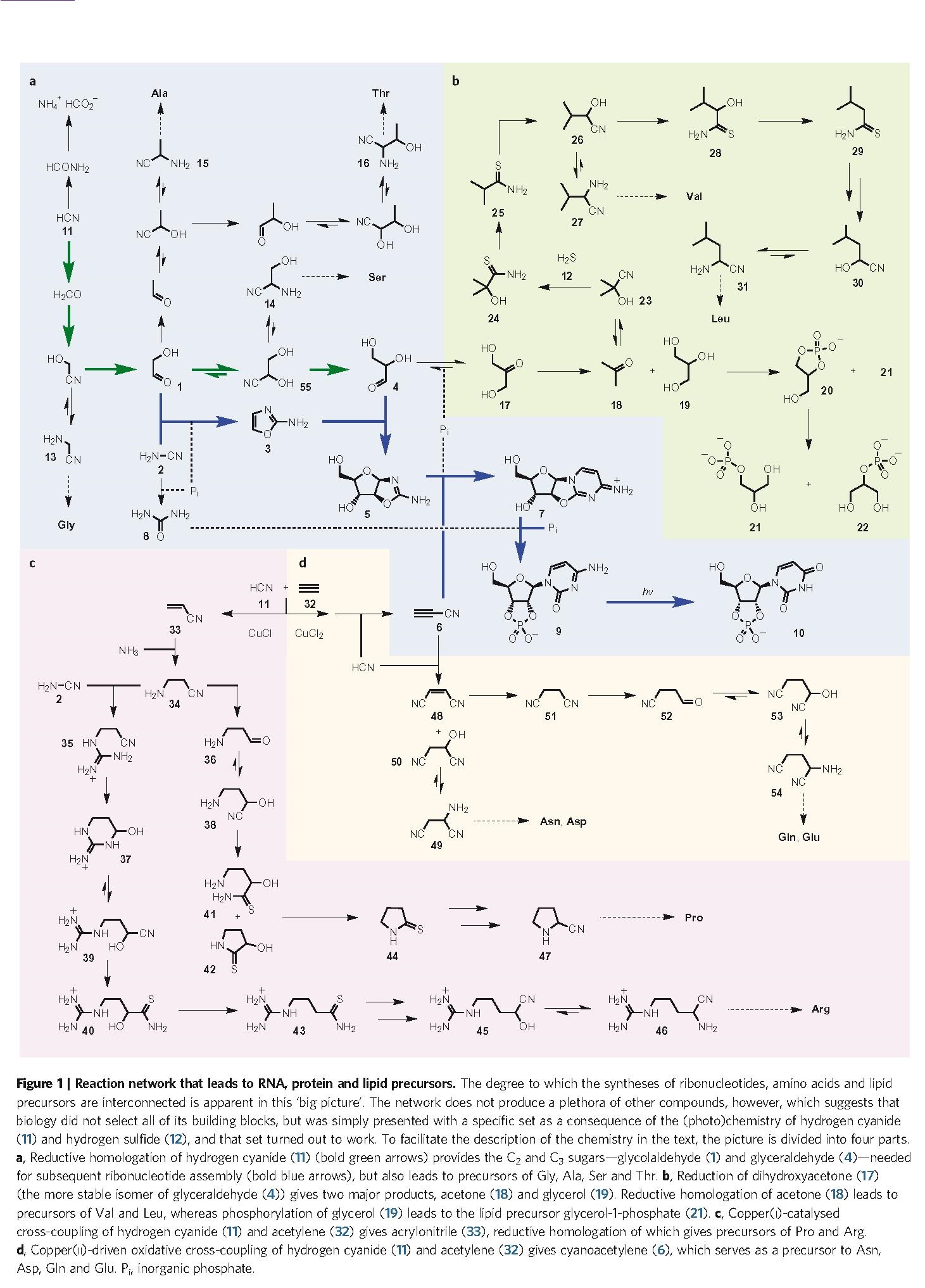 Opening the systemic avenue from chemistry to biology 1