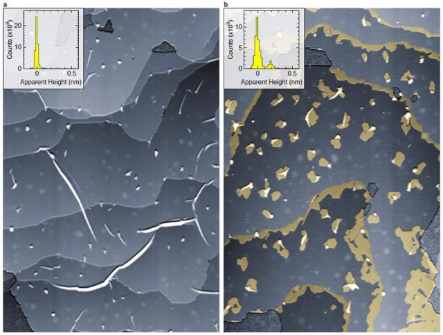Graphene monolayer on iridium (left) and graphene monolayer on iridium with intercalated lead islands. | Credit: Calleja et al ()