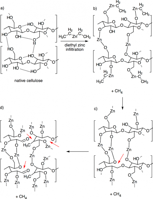 DEZ/cellulose reaction scheme.