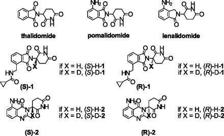 Figure 2. Top row: structures of thalidomide and its analogues pomalidomide and lenalidomide. The second and third rows show the structures of the compounds reported on the paper: protonated and deuterated enantiomers of compound 1 [CC-11006; i.e., (S)-H-1, (R)-H-1, (S)-D-1, and (R)-D-1] as well as protonated and deuterated enantiomers of compound 2 [CC-122; (S)-H-2, (R)-H-2, (S)-D-2, and (R)-D-2. | Credit: Czarnik et al. (2015).