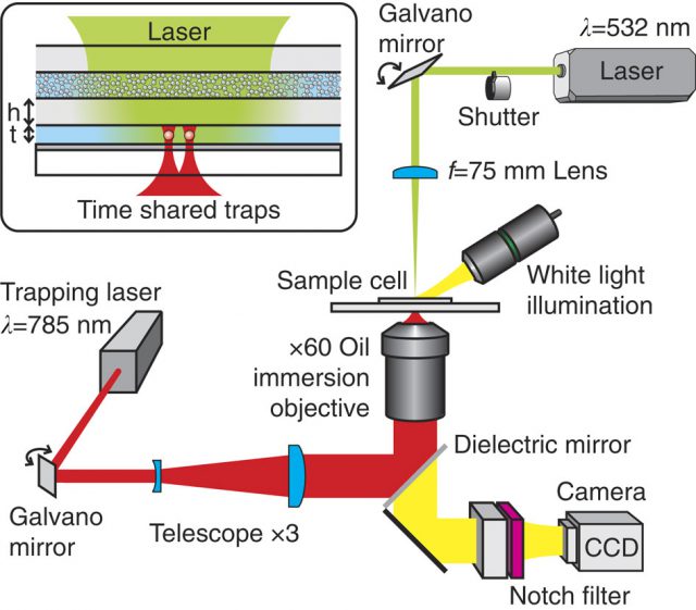 An intense green laser is weakly focused on one side of the sample cell using a lens. A turbid scattering layer at the entrance of the cell creates a random field distribution inside a light-filled cavity. From the opposite side, the sample cell is illuminated with a tightly focused near-infrared laser creating a set of two timeshared optical traps. Both laser beams can be steered by galvano mirrors. A white light source is employed for the broadband illumination of the cell, allowing the tracking of the particles by video microscopy. Different filters are used to spectrally isolate the different optical paths. The interaction potential between the two trapped spheres is obtained by monitoring the thermal Brownian motion inside the optical traps with a digital camera (CCD). The inset shows an enlarged view of the sample cell: Two micronsized colloidal particles suspended in water are trapped in the centre of a water-filled layer of thickness. The water layer and the turbid layer are separated by a glass wall. The dichroic mirror at the bottom of the clear layer reflects 499% of the incoming light leading to multiple reflections inside the cavity.