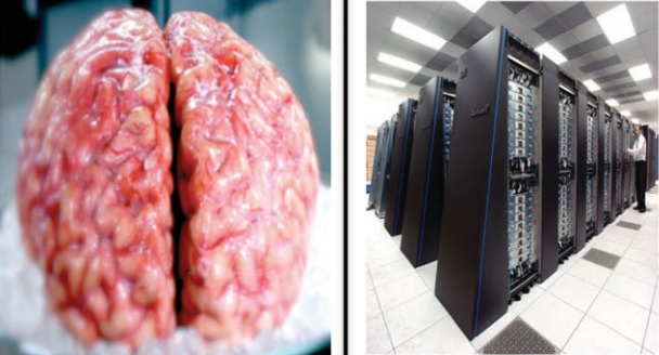 Figure1-MapIgn-Brain-ComputerSystem