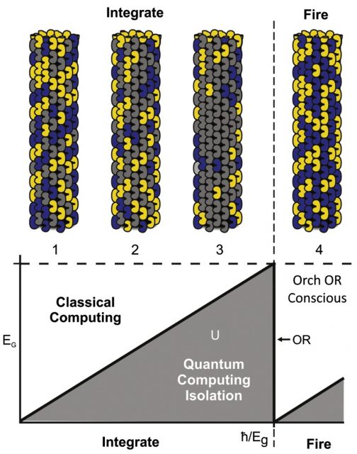 quantum coherence